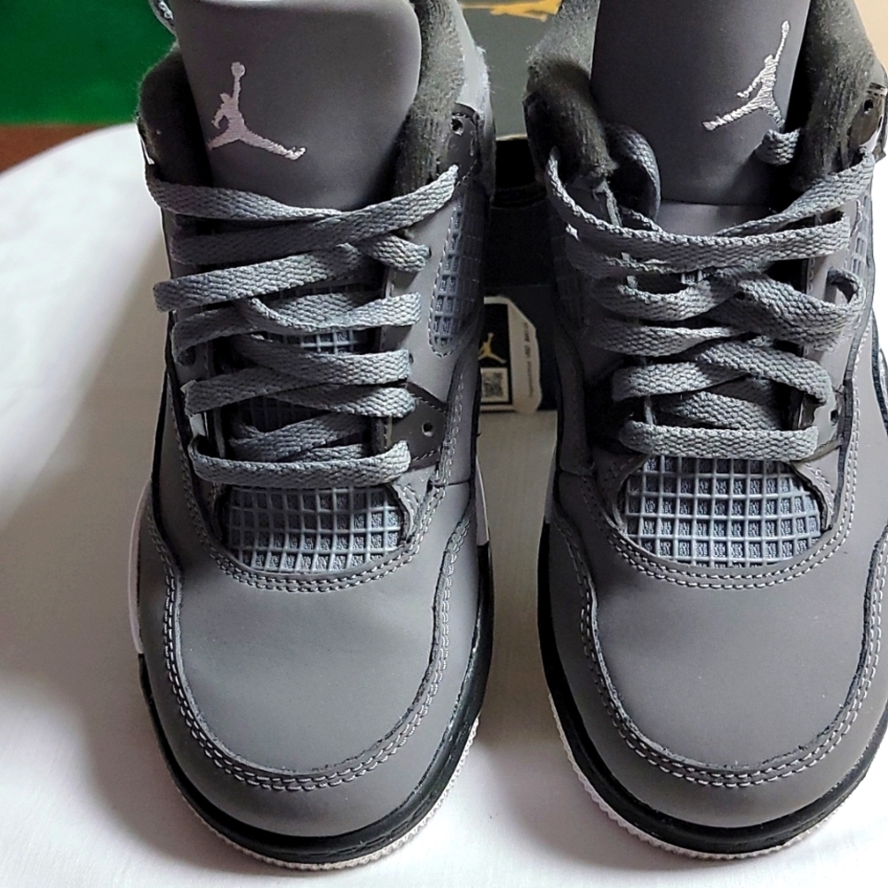 Jordan 4 Retro PS